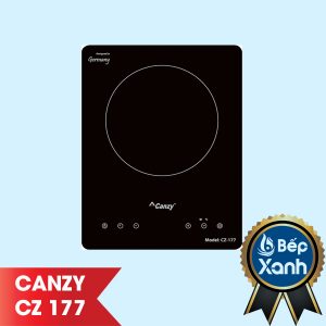 Chậu Cao Cấp Cazy -CZ 177
